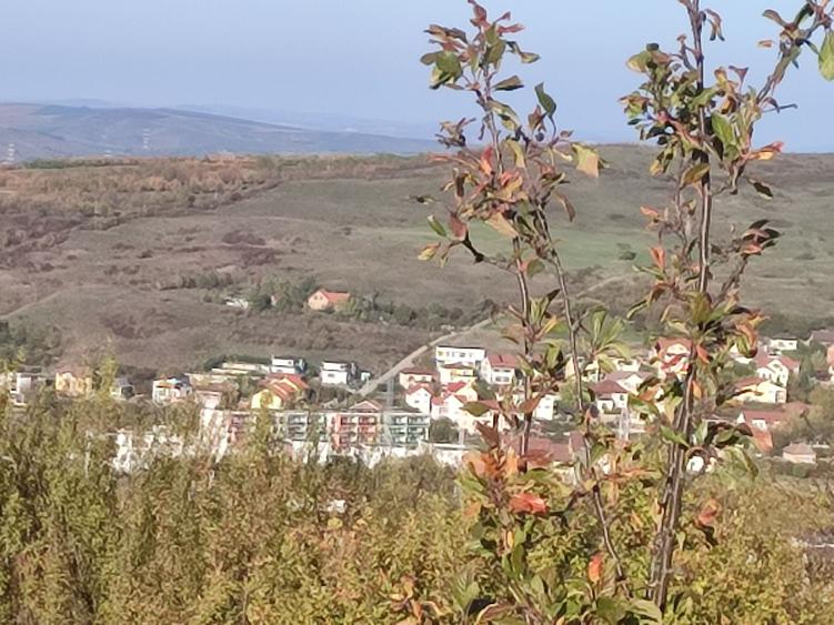Spațiu comercial, în Borhanci