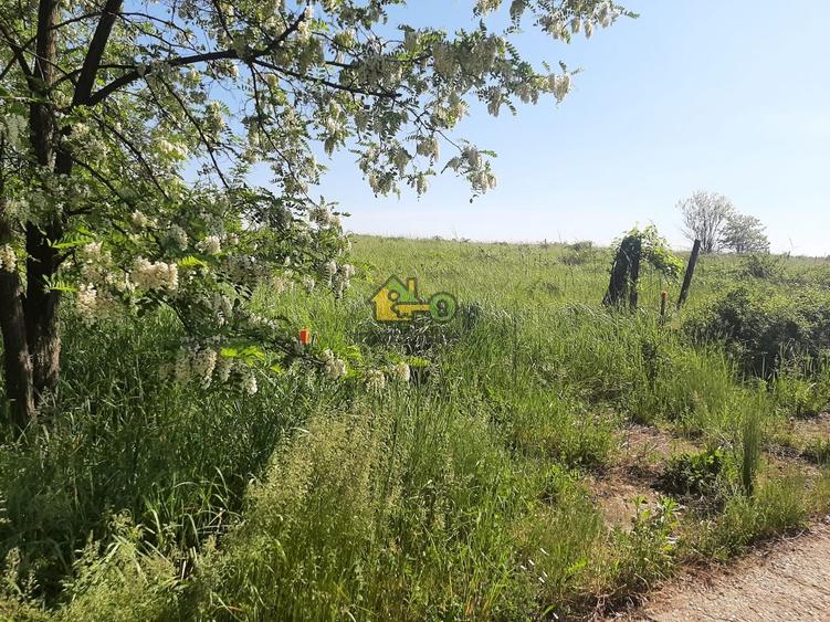 Teren agricol extravilan de 21434 mp, în Nord-Est