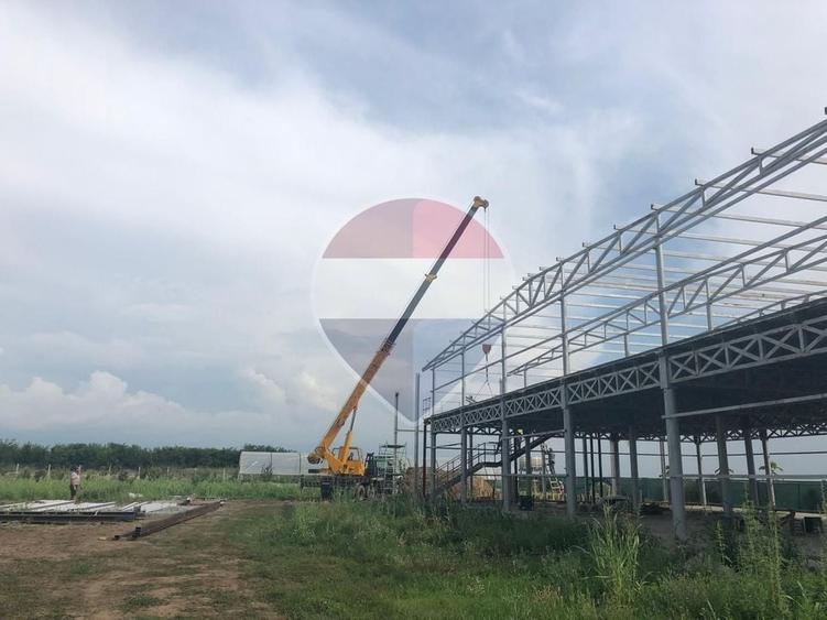 Teren Construcții intravilan de 15107 mp, în Glina