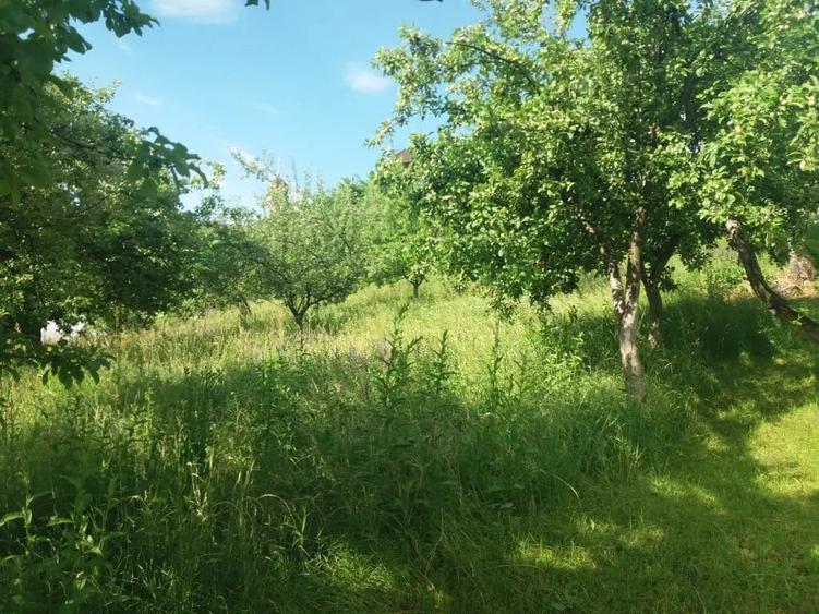 Casă cu 3 camere în Sud