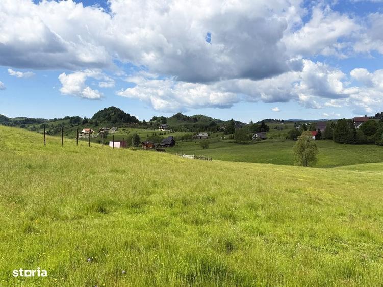 Teren 1425 mp, sat Sinea, zona Bran Moieciu - 7
