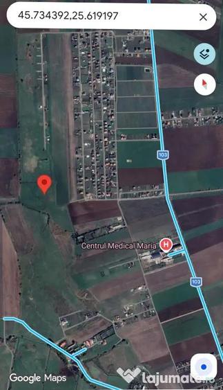 Teren de 7000 mp, în Bod
