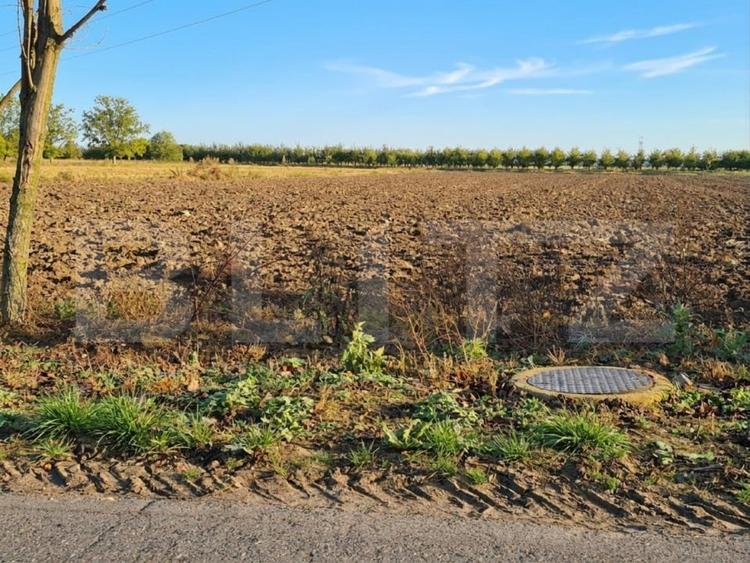 Teren Construcții intravilan de 2500 mp, în Nord