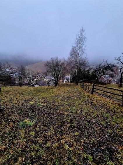 Teren Construcții intravilan de 4318 mp, în Șimon