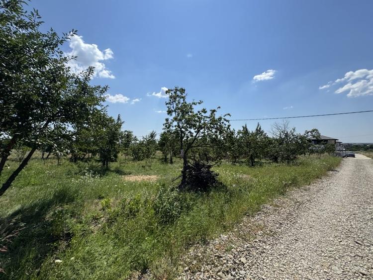 Teren Construcții intravilan de 565 mp, în Cocoșești