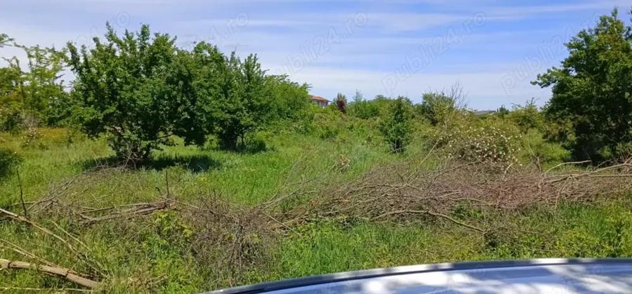 Teren de 5000 mp, în Tărtășești