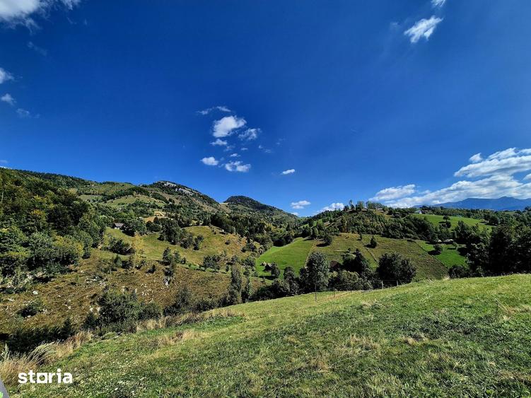 Teren de 2969 mp, în Moieciu