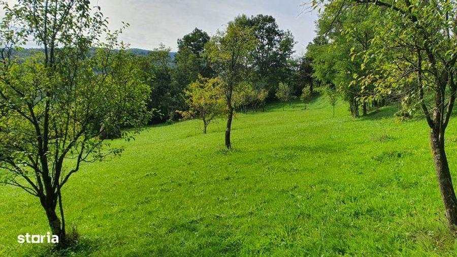 Teren de 2200 mp, în Sălciua