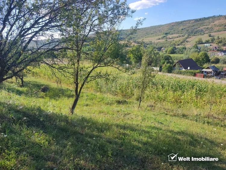 Teren de 2976 mp, în Țaga
