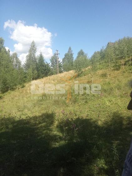 Teren Construcții extravilan de 3000 mp, în Moisei