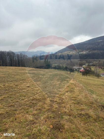 Teren de 7135 mp, în Negreni