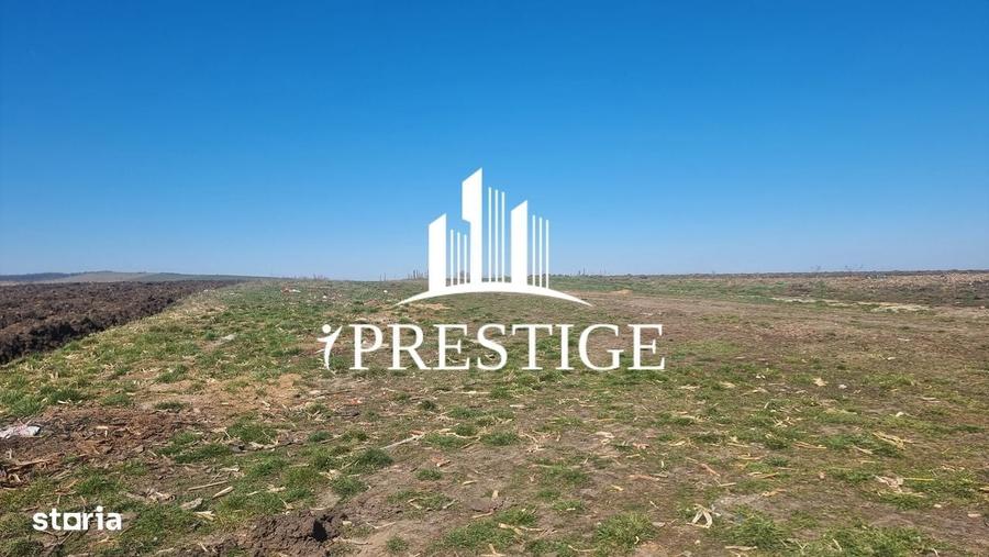 Teren Intravilan Pentru Constructie Casa | Sura Mica | Puz Aprobat - 2