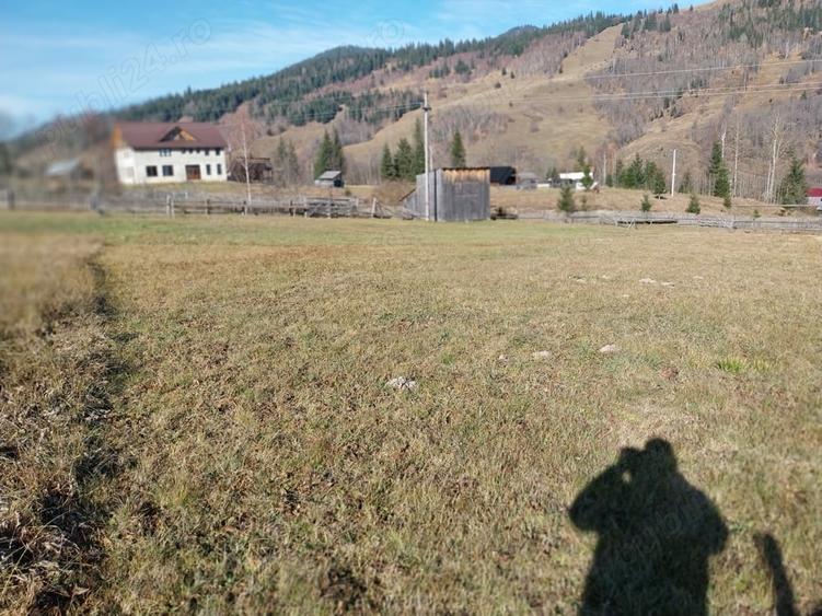 Teren de 6529 mp, în Valea Stânei
