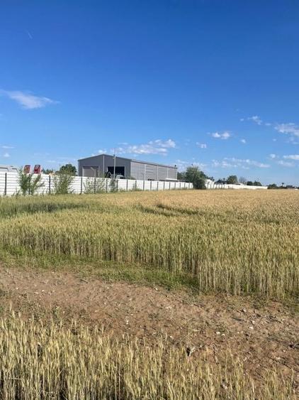 Teren Construcții intravilan de 6750 mp, în Exterior Sud