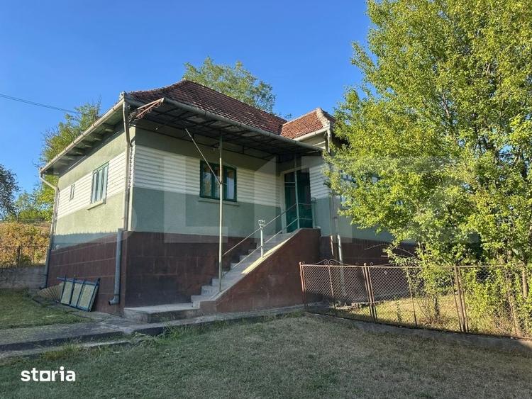 Casă cu 7 camere decomandat cu Teren 7247 Mp în Băița