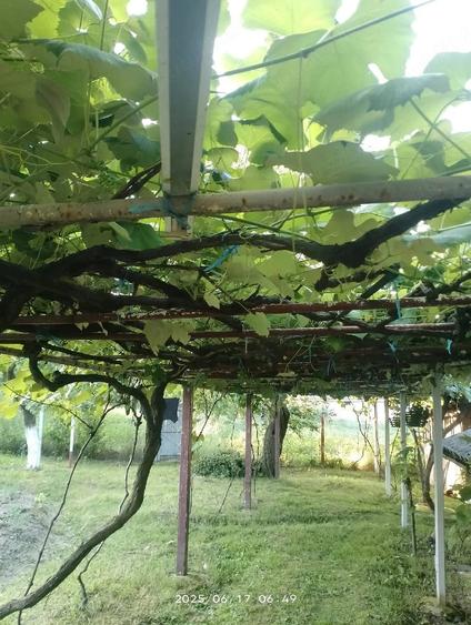 Casă cu 2 camere cu Teren 1800 Mp în Bumbești-Pițic