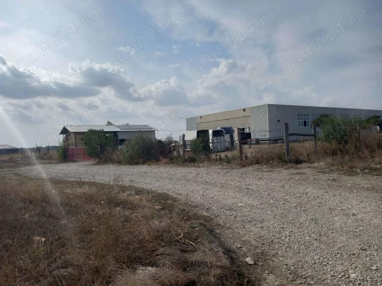 Teren de 10000 mp, în Dascălu