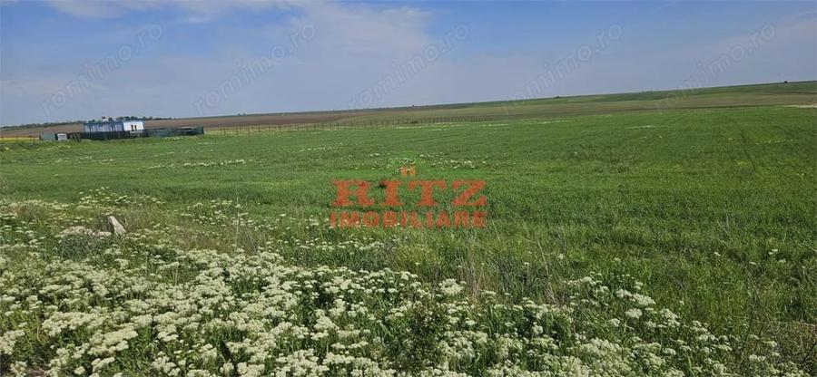 Teren de 15000 mp, în Periferie