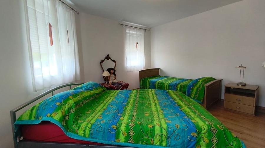 Reprezentare Exclusiva Proprietate deosebita, la 30 de minute de Dev - 12