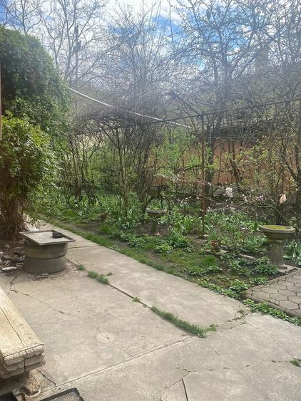 Casă în Viișoara
