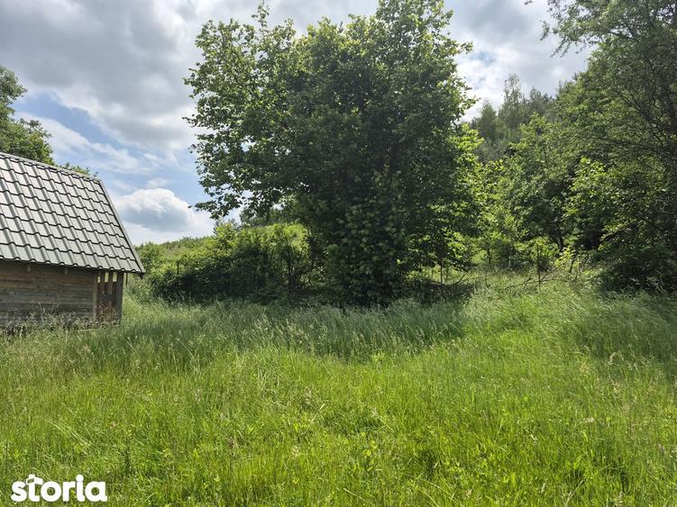 Casa de vacan?a in construc?ie, teren 5600 mp - 6