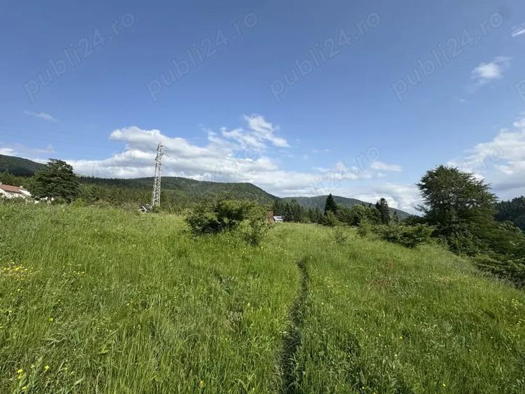 Teren de 5047 mp, în Cumpătu