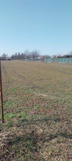 Teren de 2500 mp, în Tătărani