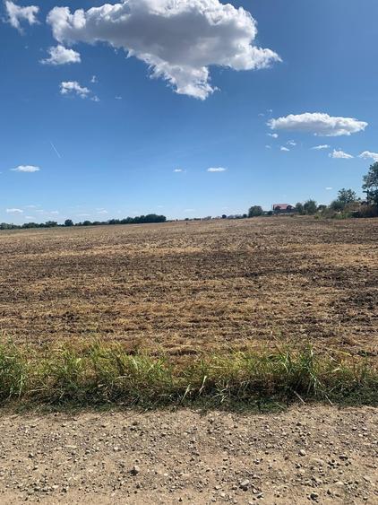 Teren agricol intravilan de 4000 mp, în Dimieni