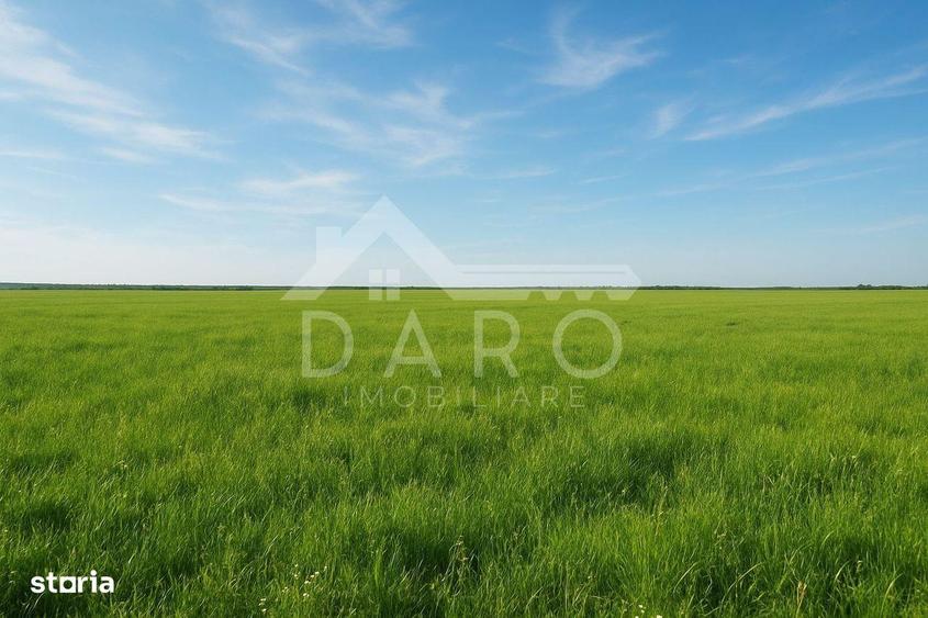 Teren de 100000 mp, în Zagăr