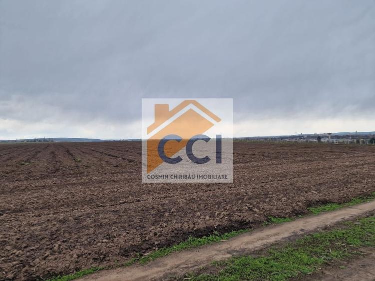 Teren agricol intravilan de 10000 mp, în Vest