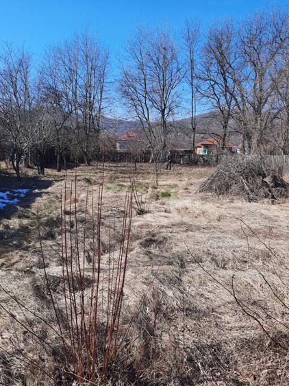 Teren de 1039 mp, în Pietroasa