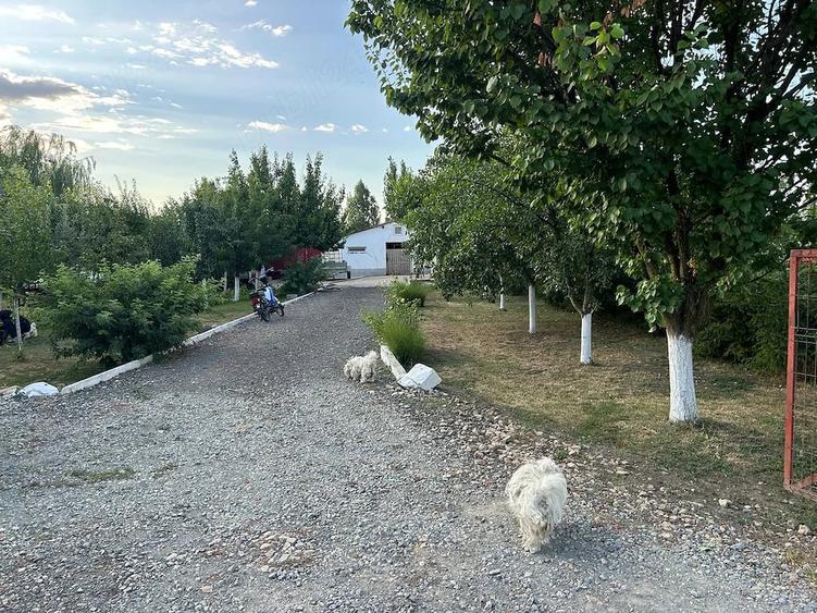 Casă cu Teren 7000 Mp în Central