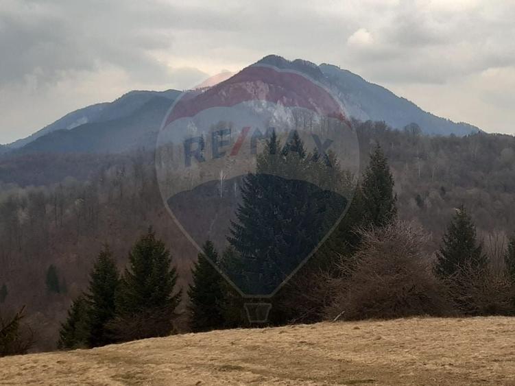 Teren agricol extravilan de 14250 mp, în Nord-Est