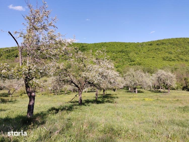 Teren de 680 mp, în Budeasa