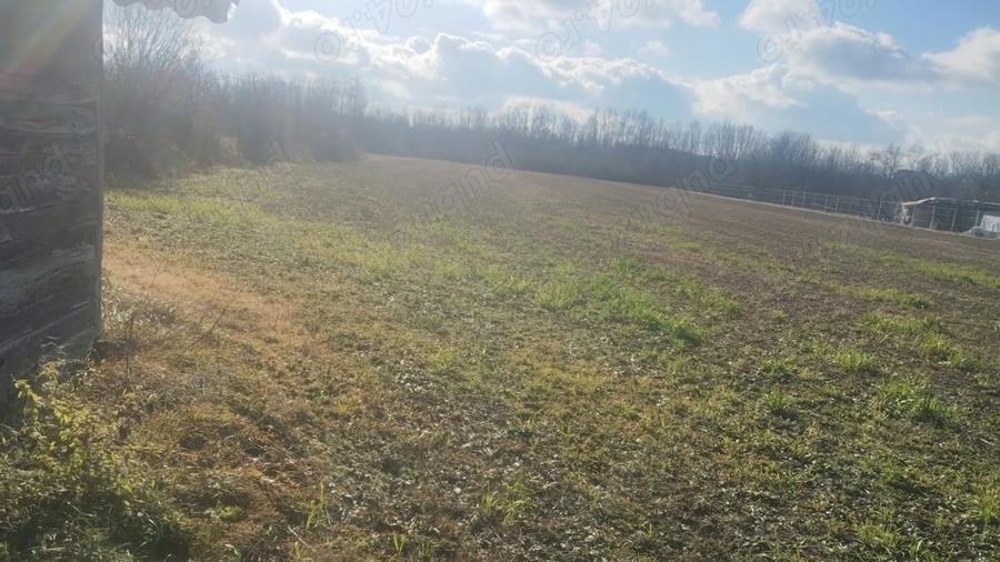 Teren de 6700 mp, în Gălețeanu