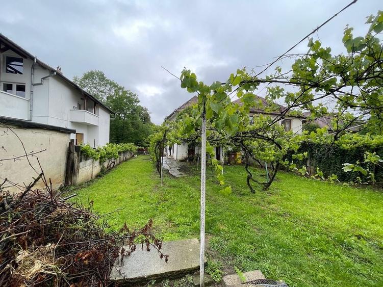 Casă cu 3 camere în Central