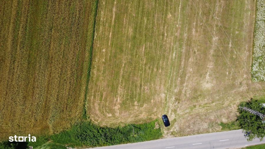 Teren de 5000 mp, în Măgureni