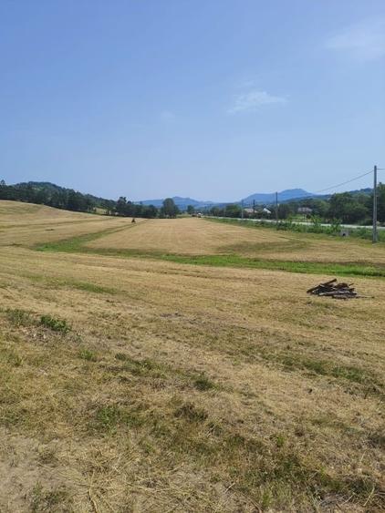 Teren agricol intravilan de 60000 mp, în Copalnic-Mănăștur
