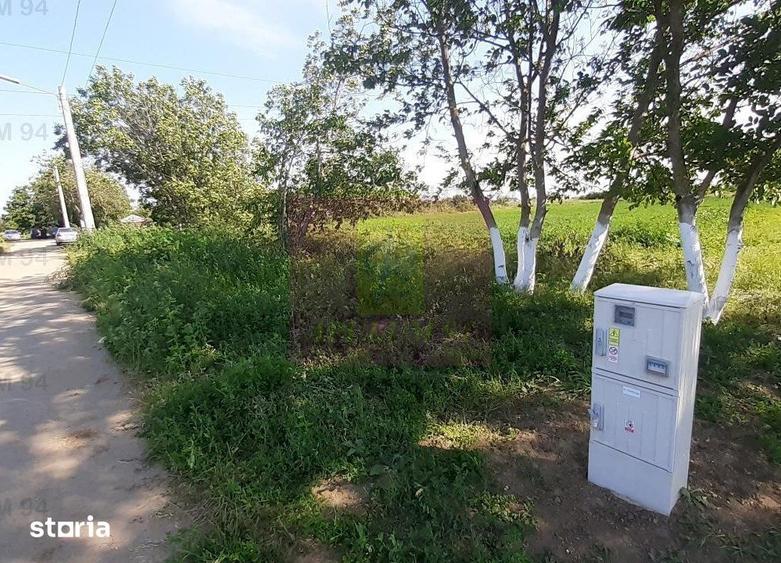 Teren de 5000 mp, în Copăceni
