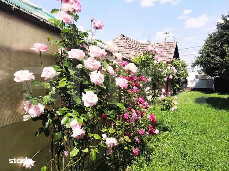Casă cu 4 camere cu Teren 15277 Mp în Central