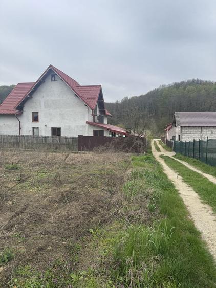 Teren intravilan 500 mp, Bascov - 3