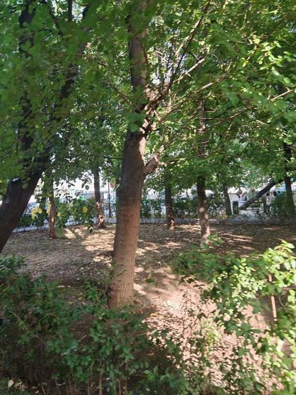 Apartament 2 camere, 58 mp, 3 min Metrou Piata Sudului- Sun Plaza - 3