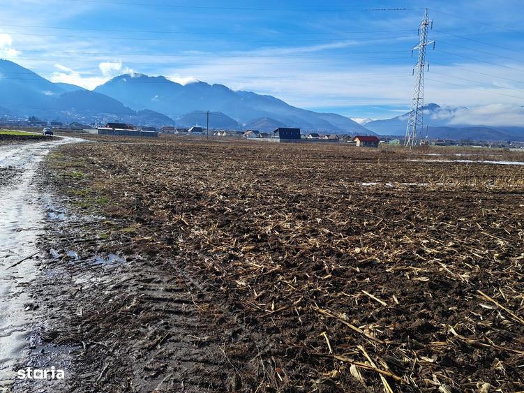 Teren extravilan locatie excelenta, proprietar, multiple posibilitati - 6