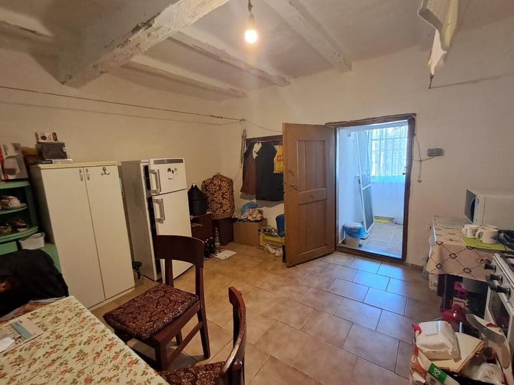 Valcani, proprietate cu casa taraneasca - 11