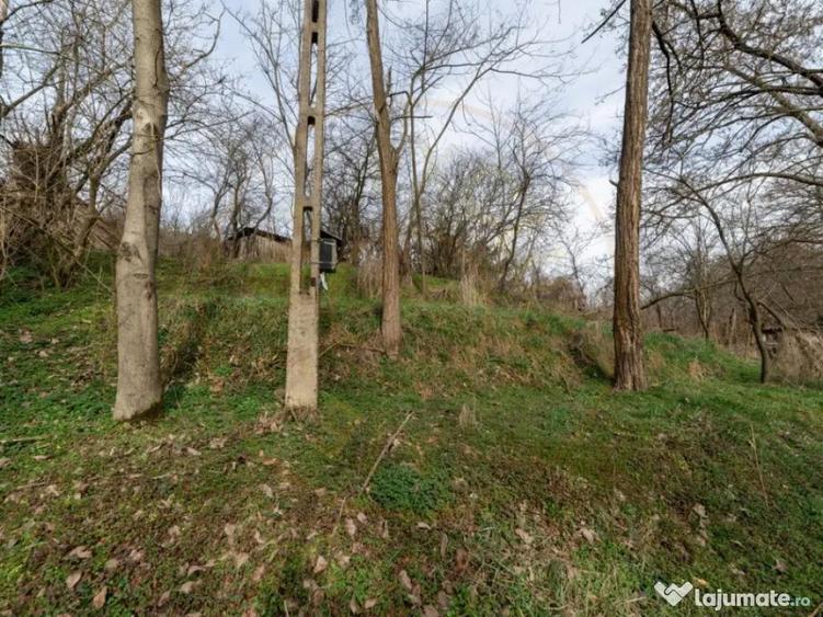 Teren de vanzare 1221 mp in Budeasa Mica, zona lini? - 3