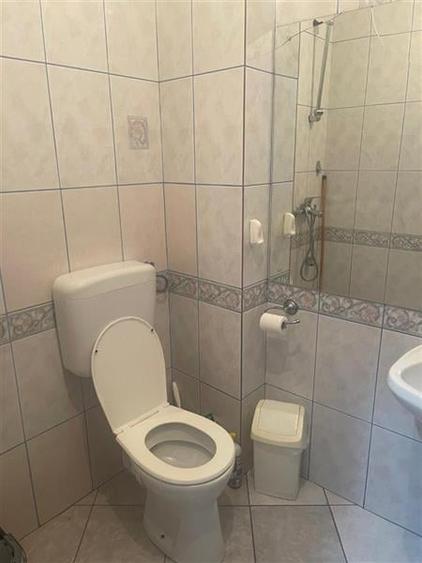 Parcul Circului, vila P+M, contructie 2001,6 camere, pretabil birou - 10