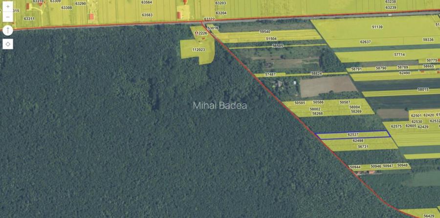 `Teren cu dubla deschidere, langa padure, Snagov - Strada Pa