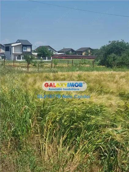 VANZARE TEREN INTRAVILAN 10000 MP COMUNA BERCENI - 7