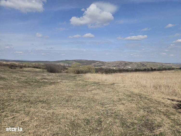 Teren de vanzare Pata Cluj - 5