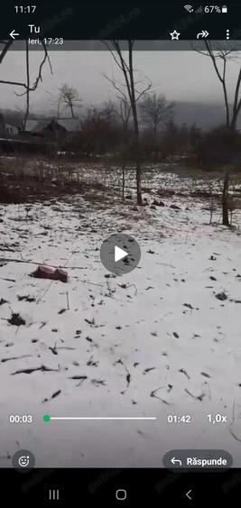 vand casa batraneasca - 7